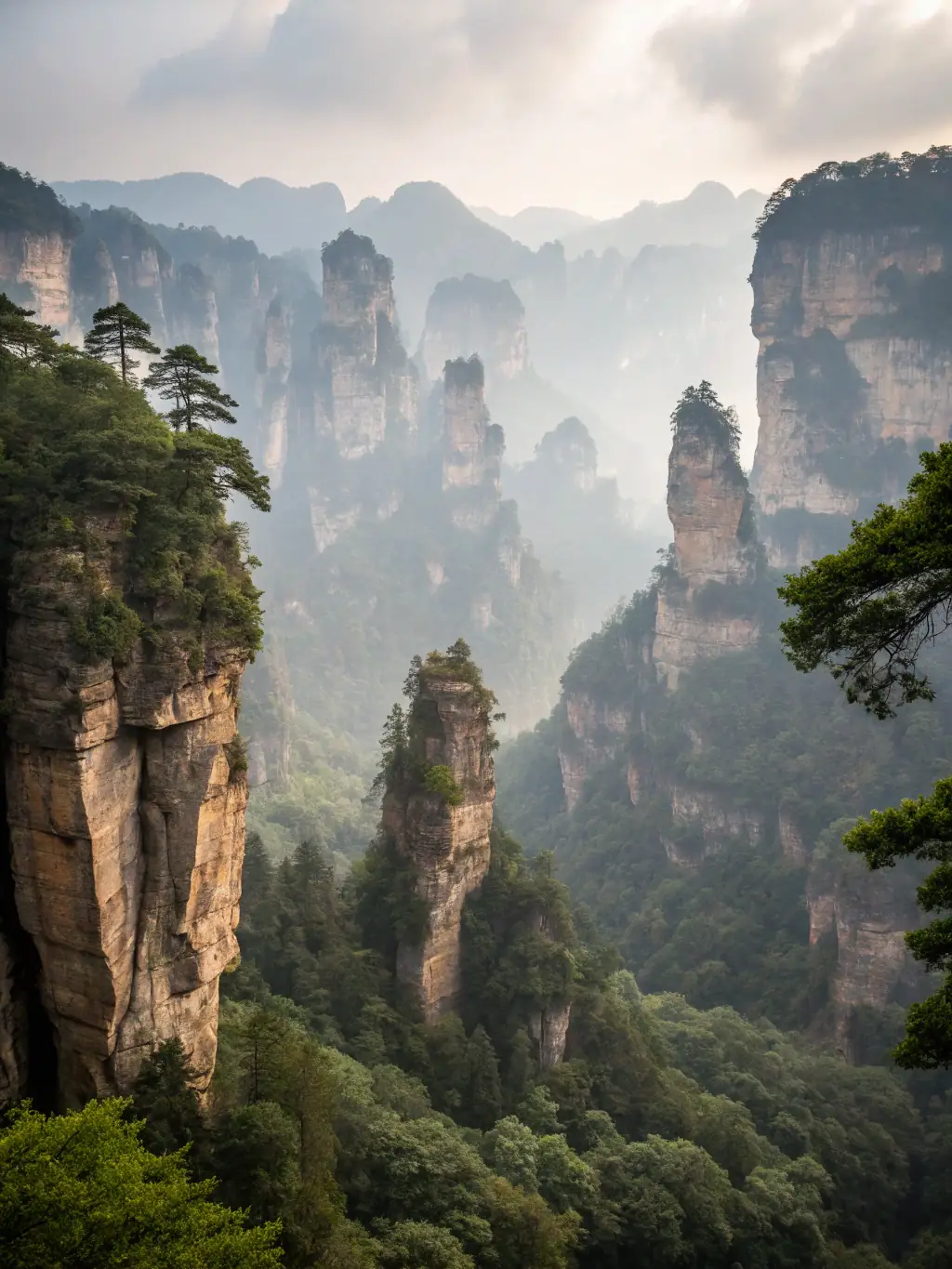 A picturesque landscape of Zhangjiajie National Forest Park, featuring towering sandstone pillars shrouded in mist.